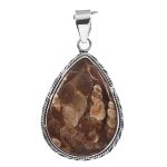 Turtella Jasper 1.5" 925 Sterling Silver Pendant (RS113-101)