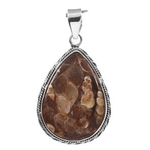 Turtella Jasper 1.5" 925 Sterling Silver Pendant (RS113-101)