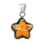 Bumble Bee Jasper Star 925 Silver Pendant (RS36-16)
