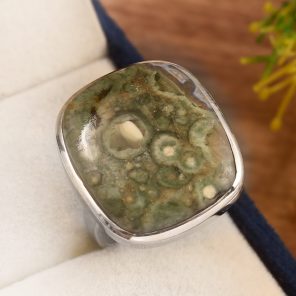 Rainforest Jasper Size US 8 925 Sterling Silver Ring (REXT14-94)