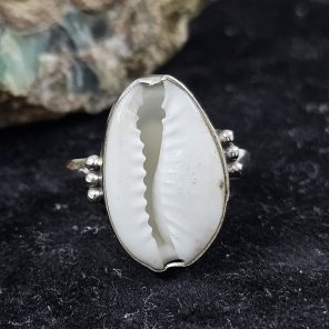 Cowry Shell 925 Sterling Silver Ring (RS51-91)