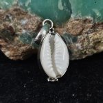 Cowry Shell 925 Sterling Silver Pendant (RS51-92)