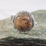 Petrified Wood 925 Sterling Silver Ring (REXT32-60)