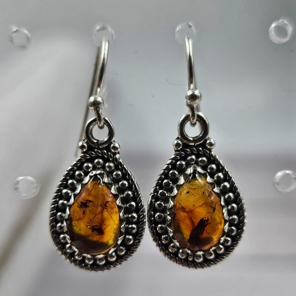 Amber 925 Sterling Silver Earring (REXT72-101)