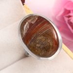 Mushroom Jasper Size US 9 925 Sterling Silver Ring (REXT76-73)