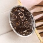 Turtella Jasper Size US 9 925 Sterling Silver Ring (REXT64-98)