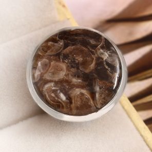 Turtella Jasper Size US 5 925 Sterling Silver Ring (REXT64-88)