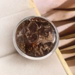 Turtella Jasper Size US 6 925 Sterling Silver Ring (REXT64-89)