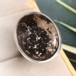 Wild Horse Jasper Size US 6 925 Sterling Silver Ring (REXT64-150)