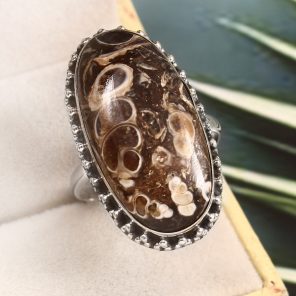 Turtella Jasper Size US 12 925 Sterling Silver Ring (REXT64-67)