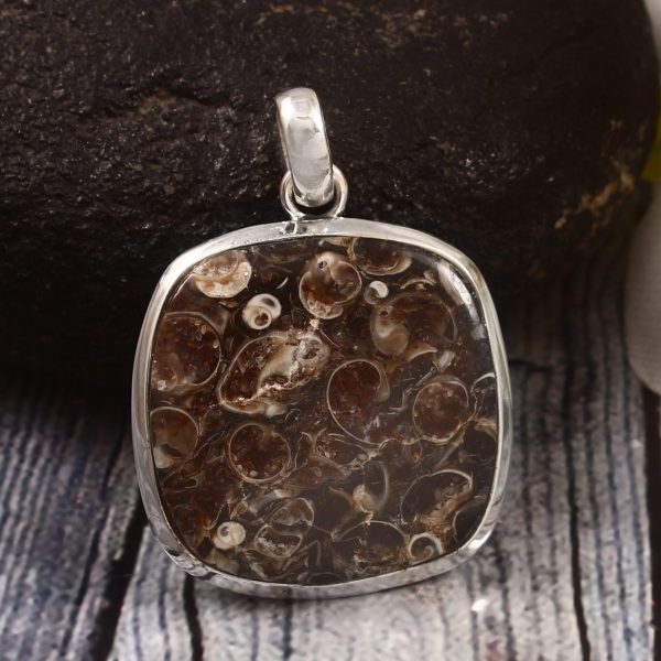 Turtella Jasper 1.25" 925 Sterling Silver Pendant (REXT64-47)