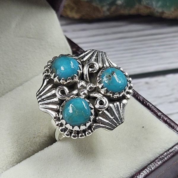 Arizona Turquoise 925 Sterling Silver Ring (REXT46-134) - Image 2