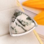 Tree Agate Size US 6 925 Sterling Silver Ring (REXT90-79)
