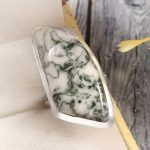Tree Agate Size US 5 925 Sterling Silver Ring (REXT90-75)