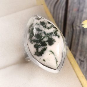 Tree Agate Size US 5 925 Sterling Silver Ring (REXT90-77)