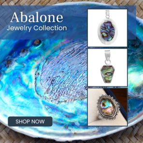 Abalone Shell