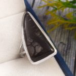 Picasso Jasper Size US 5 925 Sterling Silver Ring (REXT61-137)