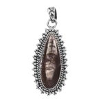 Ortohoceras Fossil 1.5â€³ 925 Sterling Silver Pendant (RS61-396)
