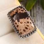 Plume Root Agate Size US 6 925 Sterling Silver Ring (REXT2-24)
