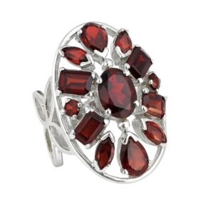 Garnet 925 Sterling Silver Ring (REXT6-83)
