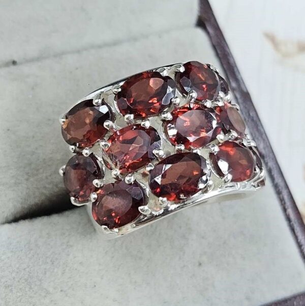 Garnet 925 Sterling Silver Ring (REXT6-101) - Image 3