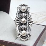 Southwest Wild Horse Jasper 925 Sterling Silver Ring (REXT10-39)