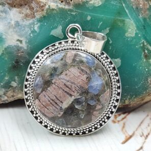 Crinoid Fossil 1.5" 925 Sterling Silver Pendant (REXT92-127)
