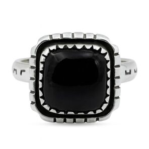 Black Onyx 925 Sterling Silver Ring (REXT126-6)