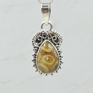 Plum Root Agate 1" 925 Sterling Silver Pendant (RS17-609)