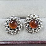Sakota Amber 925 Sterling Silver Stud Earring (REXT140-22)