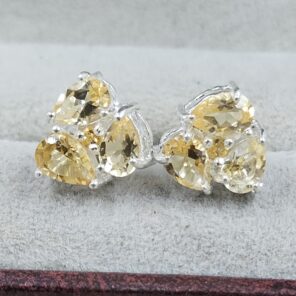 Citrine 925 Sterling Silver Stud Earring (REXT104-27)