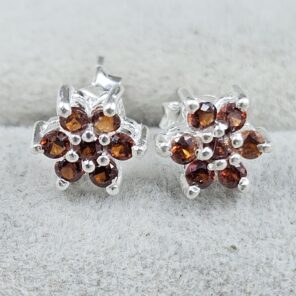Garnet 925 Sterling Silver Stud Earring (REXT104-22)