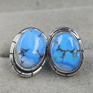 Golden Hills Turquoise 925 Sterling Silver Stud Earrings (REXT105-67)