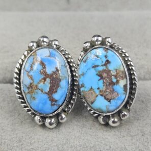 Golden Hills Turquoise 925 Sterling Silver Stud Earrings (REXT105-77)