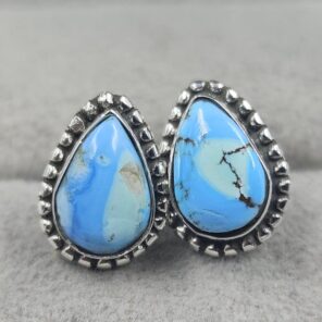 Golden Hills Turquoise 925 Sterling Silver Earrings (REXT145-86)