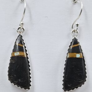 Black Jack Turquoise 925 Sterling Silver Earring (REXT90-141)