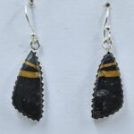 Black Jack Turquoise 925 Sterling Silver Earring (REXT90-143)