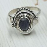 Labradorite 925 Sterling Silver Poison Box Ring (REXT162-15)