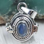 Labradorite 925 Sterling Silver Poison Box Pendant (REXT164-25)