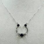 Black Onyx Sterling Silver Necklace (REXT170-20)