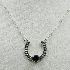 Black Onyx Sterling Silver Necklace (REXT170-27)