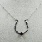 Black Onyx Sterling Silver Necklace (REXT170-30)