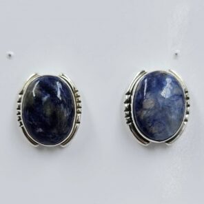 Sodalite 0.6" 925 Sterling Silver Stud Earrings (REXT157-153)